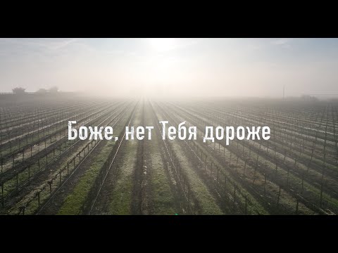 видео: Боже Нет Тебя дороже слова текст -Валерия Величко God there is none like You