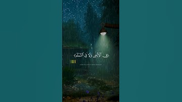 تلاوة هادئة للقارئ عبدالرحمن مسعد 🎧💚 #تلاوة_خاشعة #عبدالرحمن_مسعد #القرآن #القرآن_الكريم #قرآن