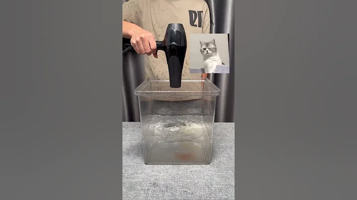 High Speed Hair Dryer VS. Traditional Hair Dryer. Let see who is the game changer?