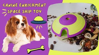Fun and Interactive Dog Enrichment Toys: Spotlight on the Treat Maze Spaceship Food Puzzle Toy! by Cavalier King Charles Spaniel Tips and Fun 217 views 9 months ago 3 minutes, 54 seconds