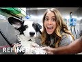 I Learned How To Be A Professional Dog Groomer | Lucie For Hire | Refinery29