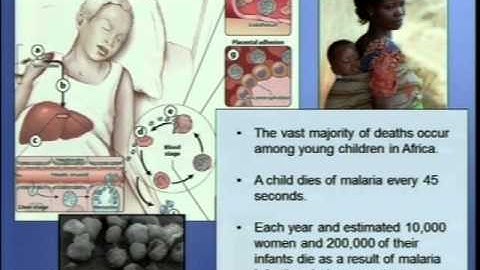 Demystifying Medicine 2014 - Malaria: Origin and Advances in the World