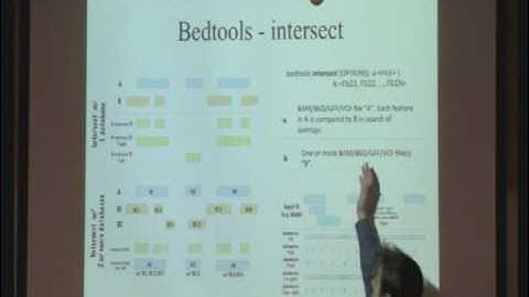 Lecture V - Introduction to ChipSEQ part 2