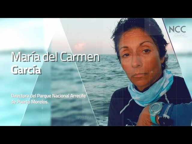Reporte Climático 97 | Conservar en comunidad: las lecciones de Puerto Morelos