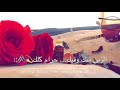 انت مثل العمر مره في حياتي ما تكرر مرتين والله لو لي عمر ثاني ولله لعيشك مرتين مجرد ذوق عجبتني 