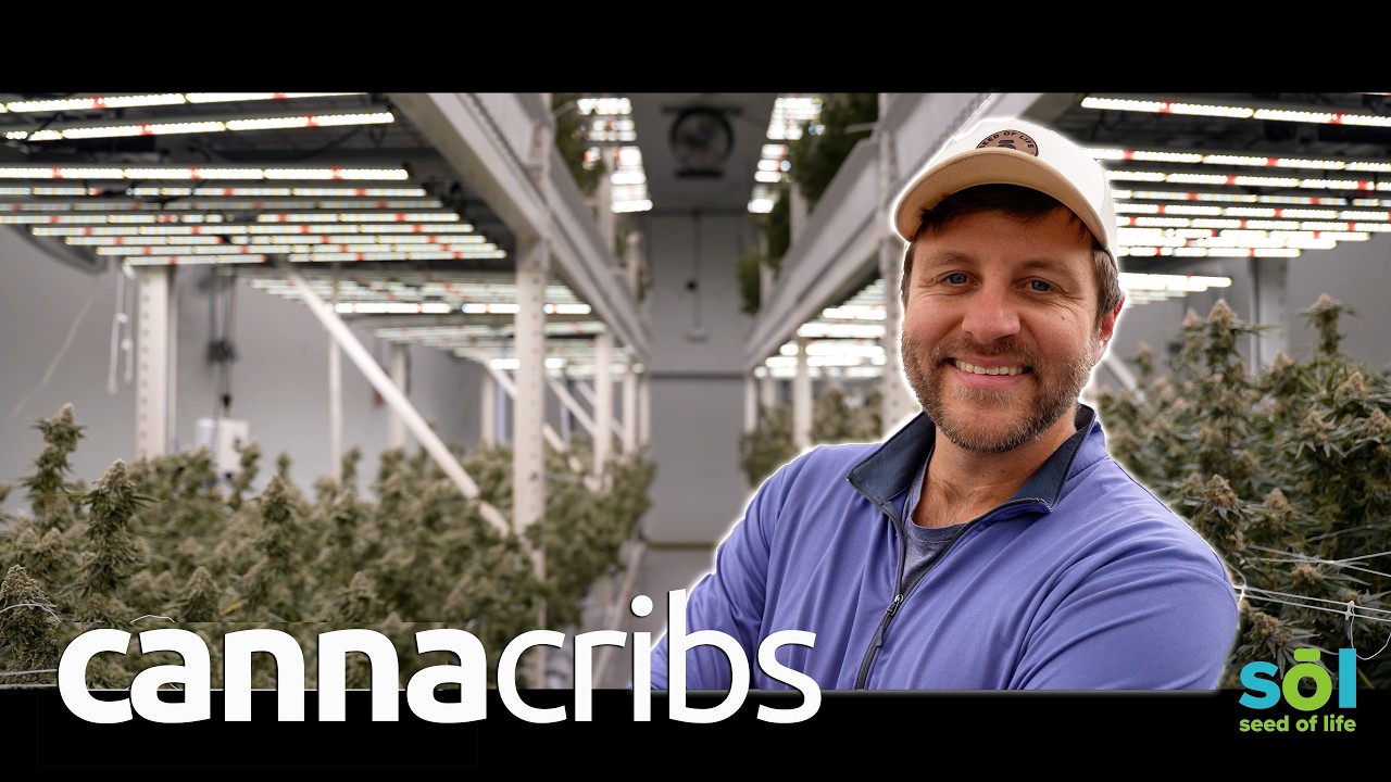 From Basement Grows to a Montana Cannabis Empire | Seed of Life