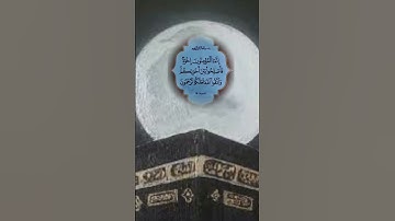إِنَّمَا الْمُؤْمِنُونَ إِخْوَةٌ | سورة الحجرات | سعد الغامدي | تلاوة خاشعة وجميلة مرحبا وهادئ
