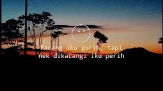 Story WA sa janji trakan mabuk mabuk lagi