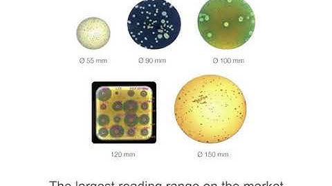 Interscience Scan 4000 Colony Counter