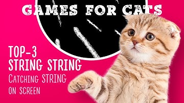Cat games STRING STRING thing TOP-3 😸 video for cats to watch 1 hour 4K