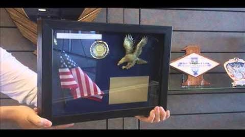 Shadow Boxes
