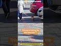 A dog's happiness is so simple.🐶💕 #foryou #dogs #cute #funnyvideos