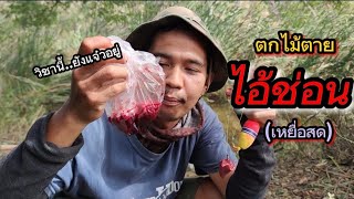 ❗หมายแบบนี้..ต้องเจอวิชานี้ถึงจะเอาอยู่ | ตกปลาช่อนทุ่นลอย(เหยื่อสด) | fishing sneakhead fish