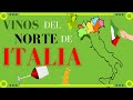 VINOS del norte de ITALIA 🍇[Clima, uvas y regiones vinícolas]