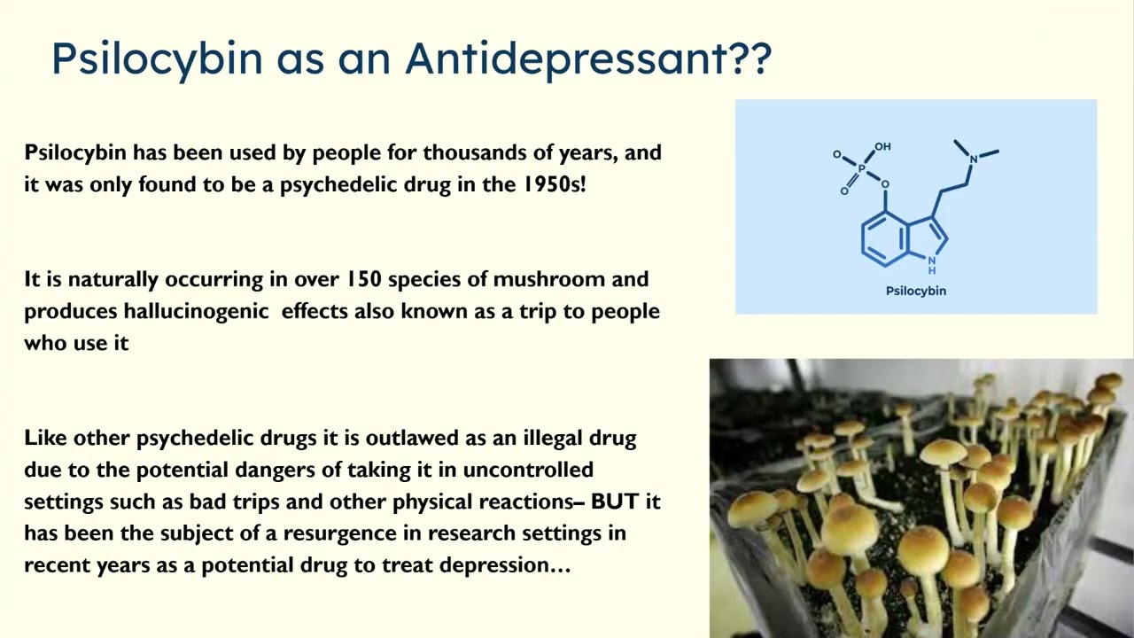 Exploring the Potential of Psychedelics in Treating Depression