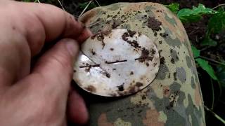 НОВИЧКАМ ВСЕГДА ВЕЗЕТ!!! /КОП ПО ВОЙНЕ/WW2 METAL DETECTING НОВИЧКАМ ВСЕГДА ВЕЗЕТ!!! /КОП ПО ВОЙНЕ/WW2 METAL DETECTING