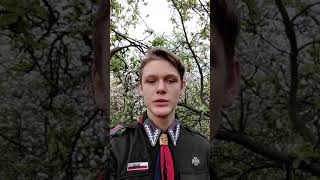 Harce „Drzewo genealogiczne” #41