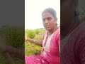 #love #movie #nostalgia #tamilsong #youtubeshorts