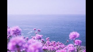 Download Lagu ＨＩＲＡＥＴＨ [ Wave - Chill Beats Mix ] MP3