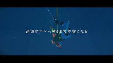 『グラン・ブルー 完全版 4K』本予告