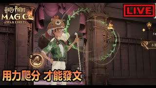 【阿月遊戲直播 】努力爬分 爬爬爬爬爬爬 |哈利波特:魔法覺醒