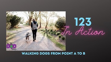 123 Dog Walking | Demo | Control Unleashed