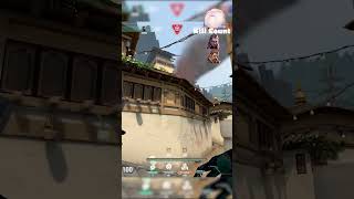 Haven Viper Lineup clutch