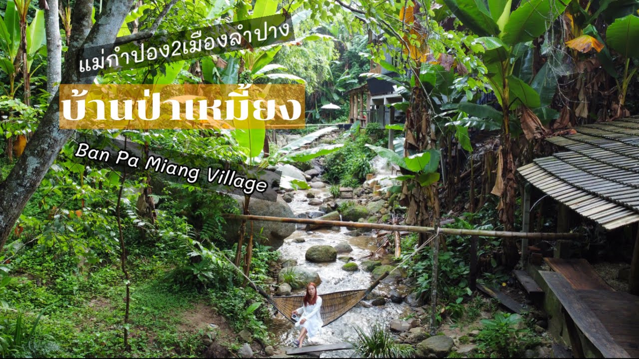 บ้านป่าเหมี้ยง ลำปาง โฮมสเตย์ 500 บาท อาหาร 2 มื้อ| Ban Pa Miang Village -  YouTube