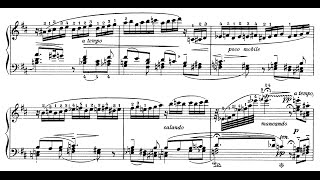 Medtner: Forgotten Melodies III, Op.40  (Arimori, Tozer)