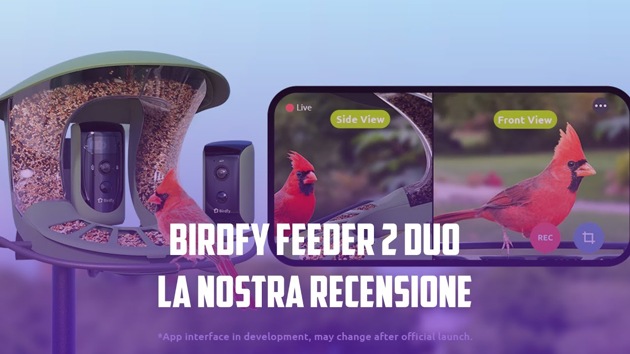 Mangiatoia Per Uccelli Birdfy Con Pannello Solare, Post-montaggio, Plastica 3.3 Libbre NI-8141