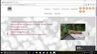 Rodent Control Sugar Land Tx - 832-415-1131