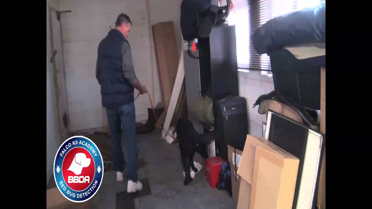 Bed Bug Dog Academy Testimonial - CA Bug Hounds