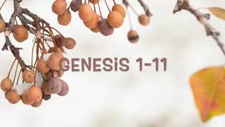 Bible Reading Week 1 SD 480p