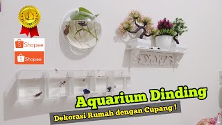 Aquarium Ikan Cupang di Dinding 5 Skat Dari Akrilik/ Acrylic || Bisa Jadi Dekorasi Rumah !
