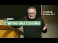 Chimie des fossiles 3  jeanjacques hublin 20232024