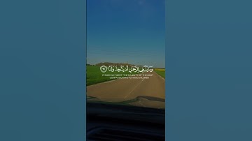 سورة مريم - (19) من آية 88 إلى آية 95  Sourate maryam verset 88-90
