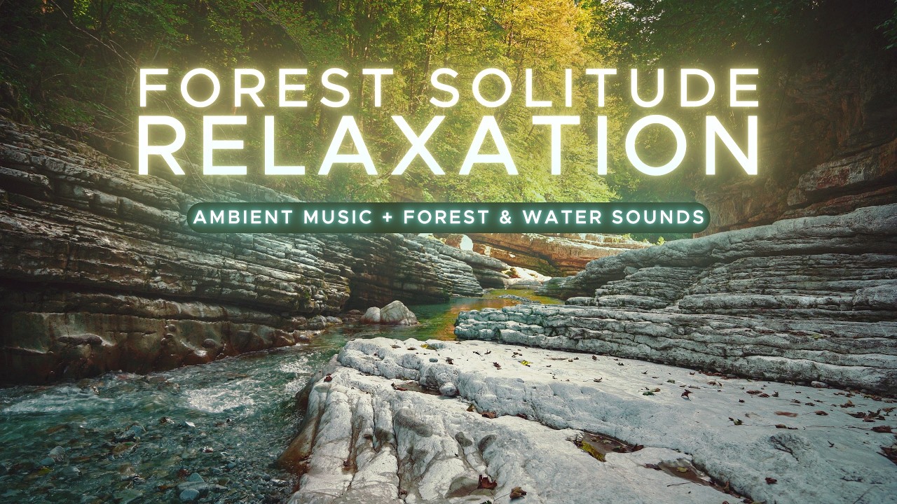Sleduj AMBIENT MUSIC || Forest Solitude (Ambient Music + Forest/Flowing Water Sounds) na YouTube Sleduj AMBIENT MUSIC || Forest Solitude (Ambient Music + Forest/Flowing Water Sounds) na YouTube
