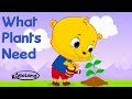 Needs of a plant  early learning  learn to grow a plant  kidloland preschool song for kids