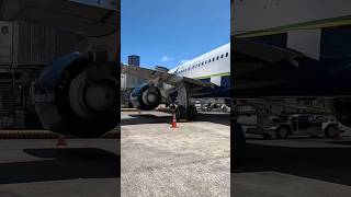 AIRBUS A320Neo, RECIFE-REC, DESCENDO DO AVIÃO DA AZUL NO AEROPORTO DOS GUARARAPES #aviation @tgqdo