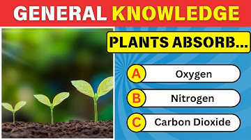 How Good is Your General Knowledge? Take This 40-Question Quiz to Find Out!