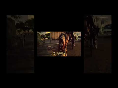 تعريف الغباء…ممدوح نصرالله #الدحيح #اكسبلور #تحفيز #حالات_واتس #ممدوح_نصرالله