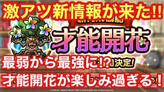 【ドラゴンクエストタクト】新情報きた！待ちに待った才能開花が6/2に来るぞー！！