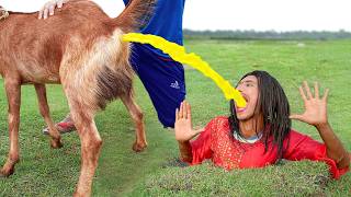 New Stupid Student & Father Funniest Fun Comedy Video 2026 😂 Episode 10 By Family Fun Tv