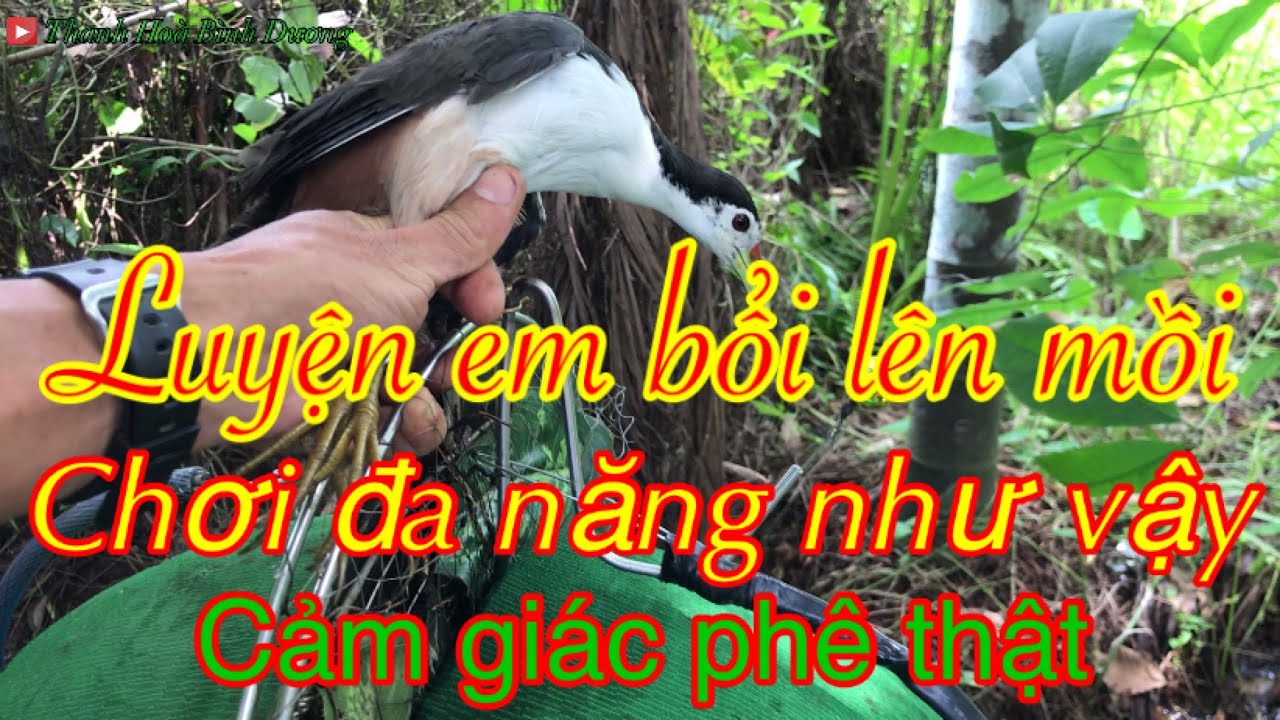 Bẩy Quốc-Em bổi sẩy bụi tre hôm nay hoàn toàn lột xác.-Thanh Hoà Bình Dương