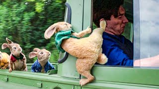 The Wet Willy Scene From PETER RABBIT & More Funny Movie Scenes 😂