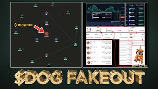 Top Wallets Coordinating Dog Transfers Pay Attention