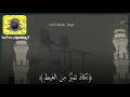 غضب الجبار الشيخ منصور السالمي