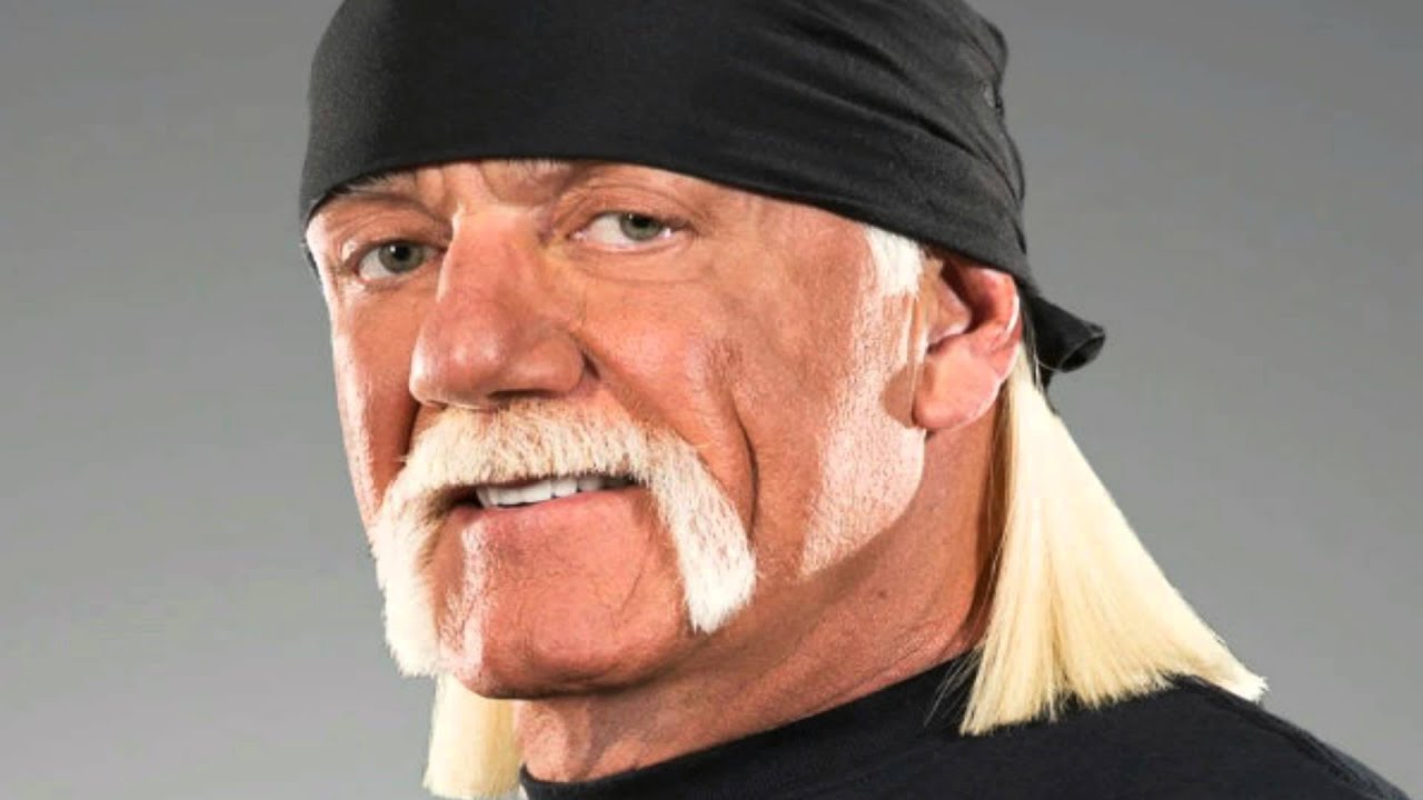 Hulk Hogan Drops the N-Bomb! - YouTube