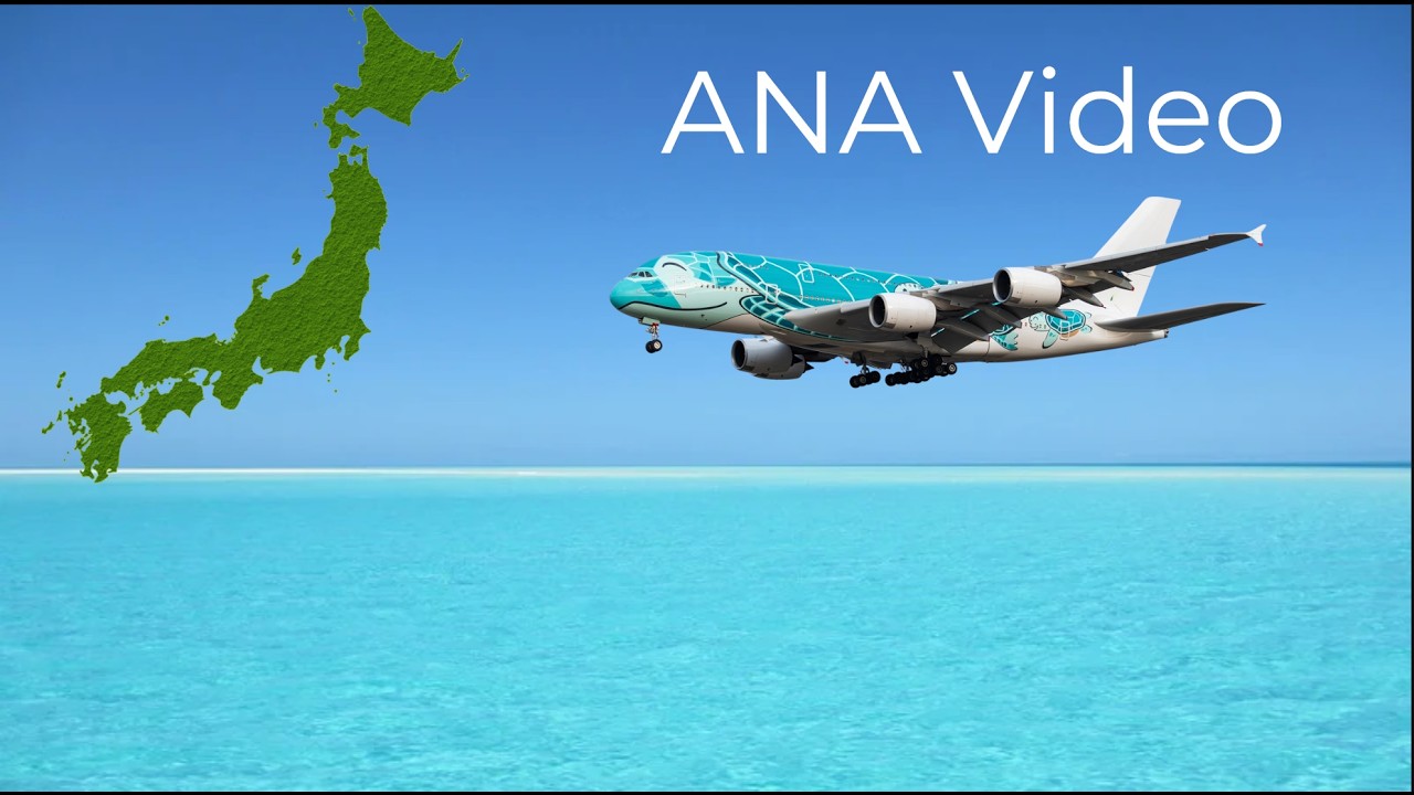 Five Facts About ANA That You May Not Know - YouTube