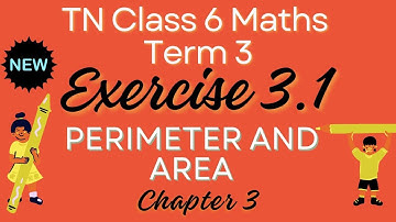 6th Std Maths Term 3 | Exercise 3.1 Full | Algebra | TamilNadu | AlexMaths